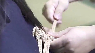 Using a Vibrator to Bring a Girl to Orgasm