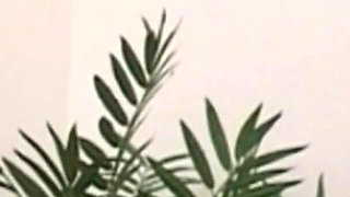 Insatiable Slut Takes Endless Cock in All Her Fuckholes