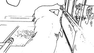 Hardcore Sex Desi Style Indian Stepsister Big Ass Big Local Sex Boyfriend Girlfriend Sex Morning Sex Indian Girl Sex